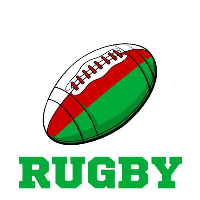 Wales Rugby Ball T-Shirt (Red) - Ladies